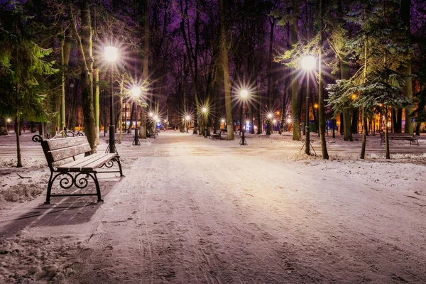 Winterpark Der Nacht Mit Laternen Bänken Und Schneebedeckten Bäumen Landschaft — Stockfoto