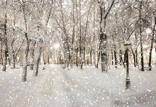 Forte Queda Neve Parque Cidade Inverno Coberto Neve Dia Ensolarado — Fotografia de Stock