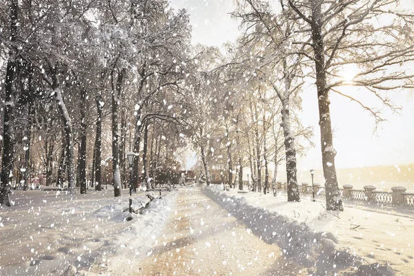 Сильный Снегопад Зимнем Городском Парке Покрытом Снегом Солнечный Зимний День — стоковое фото