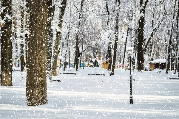 Сильний Снігопад Зимовому Міському Парку Вкритий Снігом Сонячний Зимовий День — стокове фото