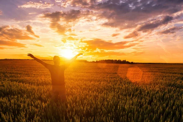 Silhouette of a man raise his hands up to sunset or sunrise on the field with young rye or wheat in the summer with a cloudy sky background.