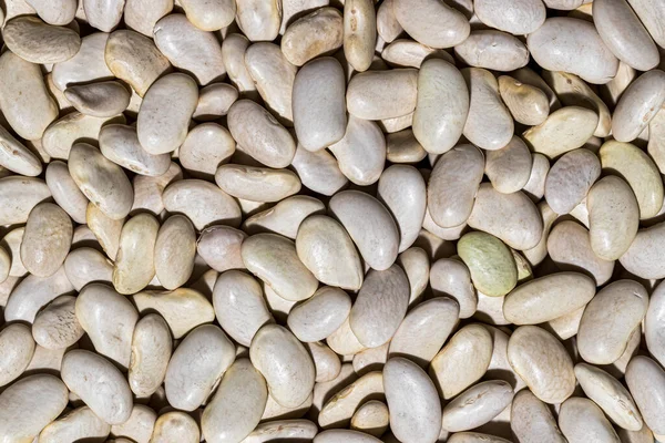 Zamknij Tło Białe Nasiona Fasoli Zdrowe Wegańskie Jedzenie Tekstura — Zdjęcie stockowe
