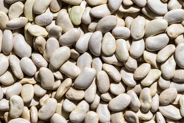 Zamknij Tło Białe Nasiona Fasoli Zdrowe Wegańskie Jedzenie Tekstura — Zdjęcie stockowe