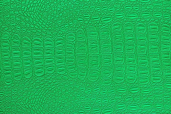Textura Piel Cocodrilo Verde Fondo Abstracto Para Diseño —  Fotos de Stock