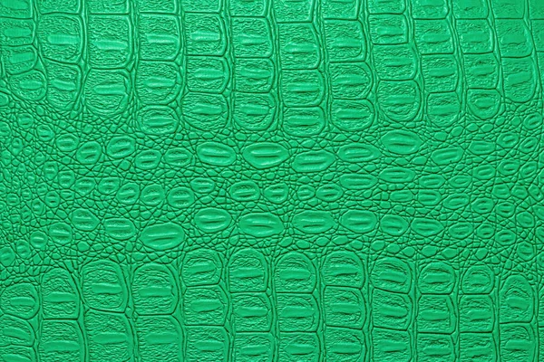 Zöld Krokodil Bőr Textúra Tervezés Absztrakt Háttere — Stock Fotó