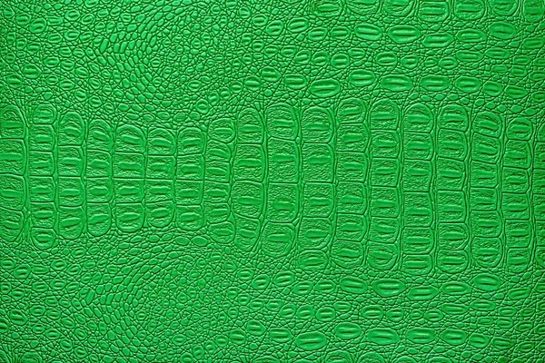 Zöld Krokodil Bőr Textúra Tervezés Absztrakt Háttere — Stock Fotó