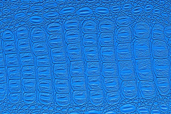 Textura Piel Cocodrilo Azul Fondo Abstracto Para Diseño —  Fotos de Stock
