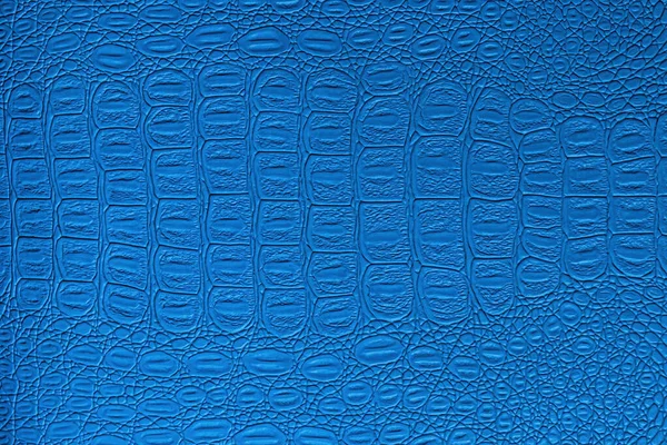 Niebieski Krokodyl Skóry Tekstury Streszczenie Tła Projektu — Zdjęcie stockowe