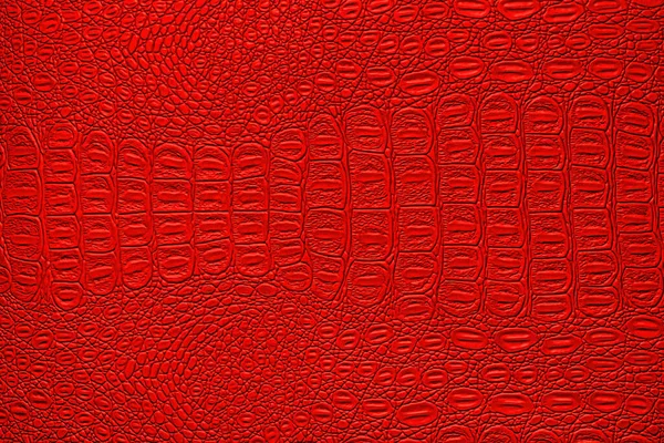 Textura Couro Crocodilo Vermelho Fundo Abstrato Para Projeto — Fotografia de Stock