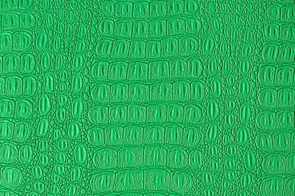 Green Crocodile Leather Texture Abstract Background Design — Stock Photo, Image