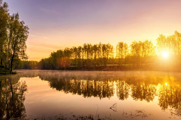 Nehir Kıyısında Büyüyen Huş Ağaçlarıyla Dolu Bir Gölette Gün Doğumu — Stok fotoğraf