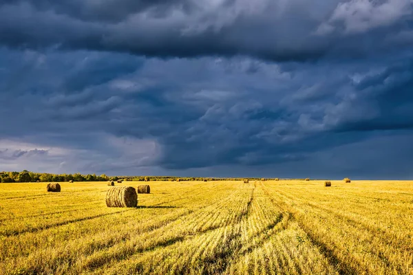 Ett Fält Gyllene Höstack Höstdag Upplyst Solljus Med Regnmoln Himlen — Stockfoto