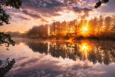 Sonbahar sabahı gölette altın sisli bir gün doğumu. Dalları kesen güneş ışınlı ağaçlar suya yansıyor..