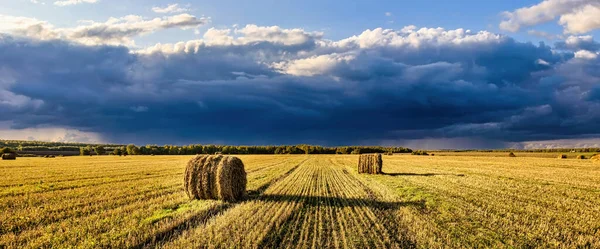 Ein Feld Goldener Heuhaufen Einem Herbsttag Vom Sonnenlicht Erhellt Mit — Stockfoto