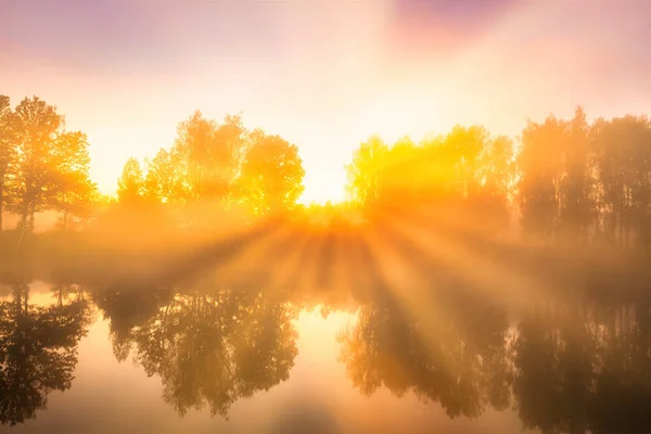 Nascer Sol Enevoado Dourado Lago Manhã Outono Árvores Com Raios — Fotografia de Stock