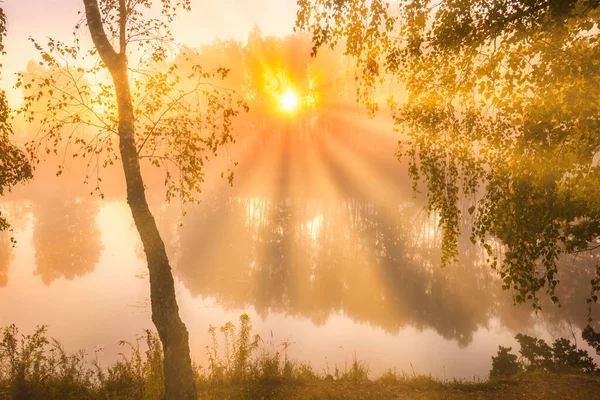 Goldener Nebliger Sonnenaufgang Auf Dem Teich Herbstmorgen Birken Mit Sonnenstrahlen — Stockfoto