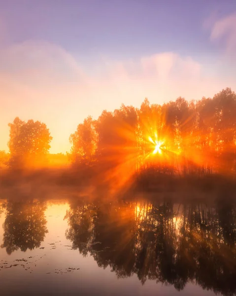 Lever Soleil Doré Brumeux Sur Étang Matin Automne Arbres Avec — Photo