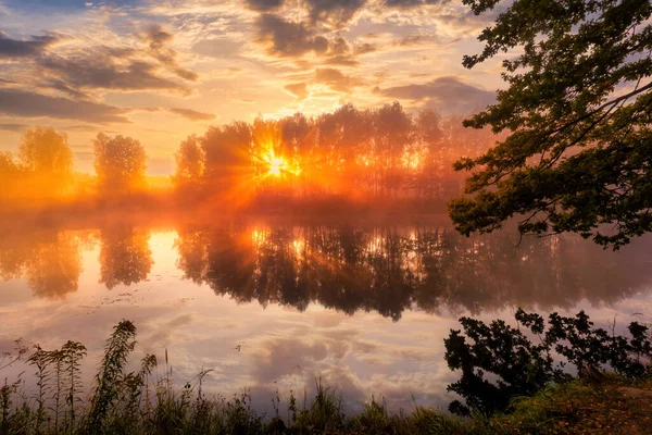 Gouden Mistige Zonsopgang Vijver Herfstochtend Bomen Met Zonnestralen Door Takken — Stockfoto