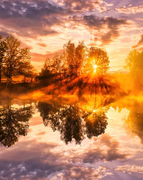 Goldener Nebliger Sonnenaufgang Auf Dem Teich Herbstmorgen Bäume Mit Sonnenstrahlen — Stockfoto