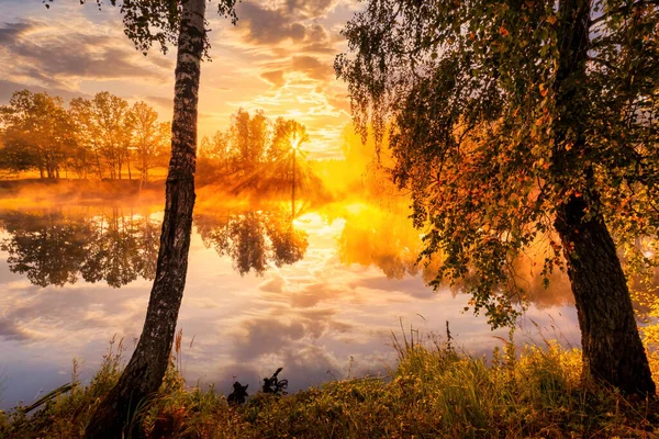 Goldener Nebliger Sonnenaufgang Auf Dem Teich Herbstmorgen Birken Mit Sonnenstrahlen — Stockfoto