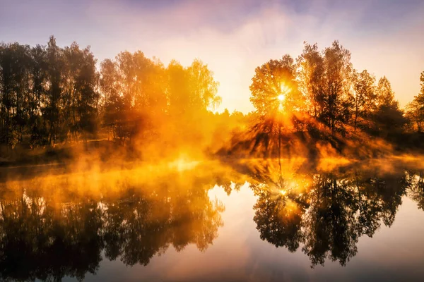 Gouden Mistige Zonsopgang Vijver Herfstochtend Bomen Met Zonnestralen Door Takken — Stockfoto