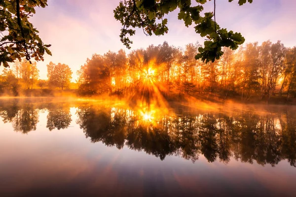 Золотой Туманный Рассвет Пруду Осенним Утром Деревья Лучами Солнца Прорезающими — стоковое фото