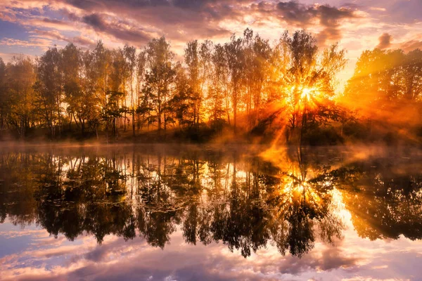 Золотий Туманний Схід Сонця Ставку Восени Вранці Дерева Променями Сонця — стокове фото