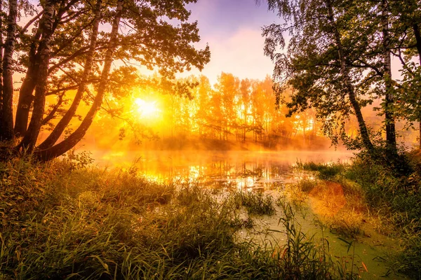 Golden Misty Sunrise Pond Autumn Morning Birch Trees Rays Sun — Stock Photo, Image