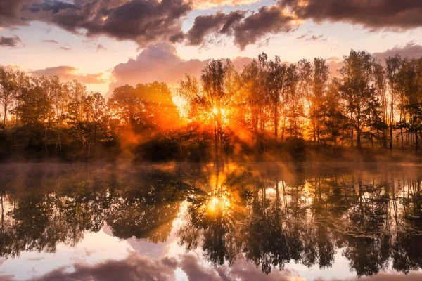 秋の朝に池の上に黄金の霧の日の出 枝に太陽の光が差し込み 水に反射する木 — ストック写真