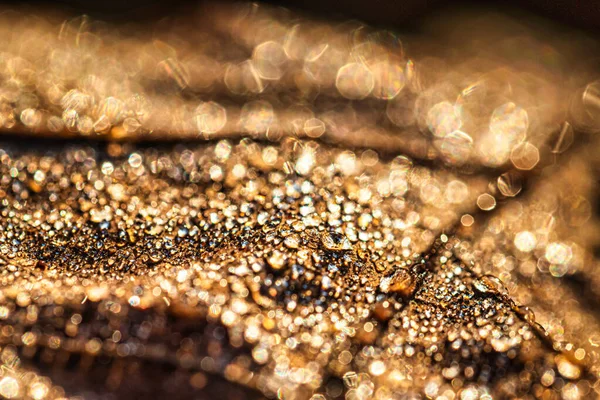 Rocía Gotas Una Hoja Caída Otoño Brillando Sol Disparado Primer —  Fotos de Stock