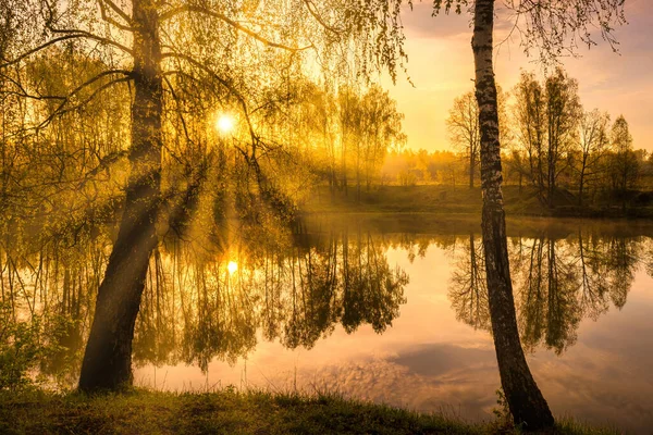 Lever Soleil Près Étang Avec Des Bouleaux Sur Rivage Brouillard — Photo