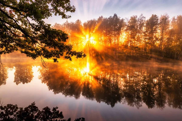 秋の朝に池の上に黄金の霧の日の出 枝に太陽の光が差し込み 水に反射する木 — ストック写真