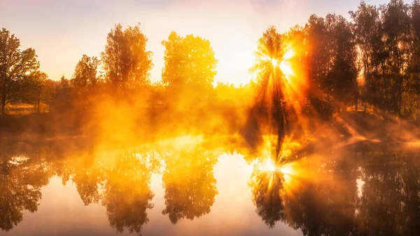 Gouden Mistige Zonsopgang Vijver Herfstochtend Bomen Met Zonnestralen Door Takken — Stockfoto