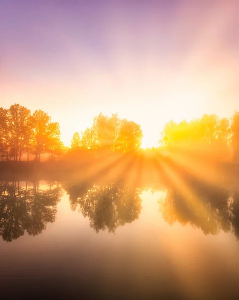 Goldener Nebliger Sonnenaufgang Auf Dem Teich Herbstmorgen Bäume Mit Sonnenstrahlen — Stockfoto