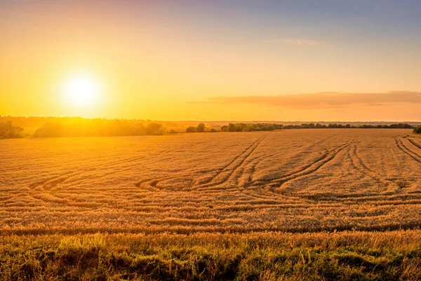 Draufsicht Auf Einen Sonnenuntergang Oder Sonnenaufgang Einem Landwirtschaftlichen Feld Mit — Stockfoto