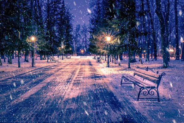 Снігопад Зимовому Парку Вночі Різдвяними Прикрасами Вогнями Тротуарами Вкритими Снігом — стокове фото