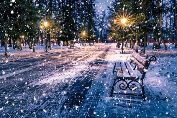 Schneefall Einem Nächtlichen Winterpark Mit Weihnachtsdekoration Lichtern Und Schneebedecktem Bürgersteig — Stockfoto