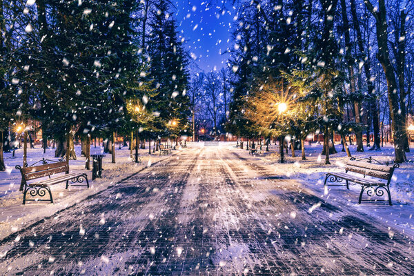 Snowfall in a winter park at night with christmas decorations, lights and pavement covered with snow. Falling snow.