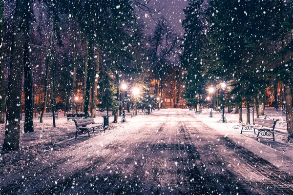 クリスマスの装飾 ライト 雪で覆われた舗装と夜の冬の公園で雪 — ストック写真