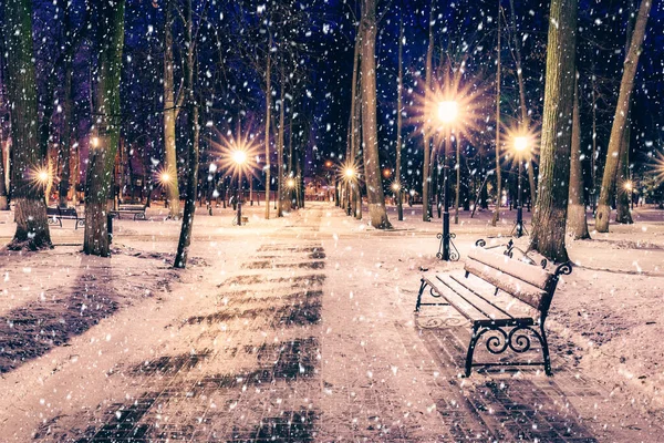 Chute Neige Dans Parc Hiver Nuit Avec Décorations Noël Lumières — Photo