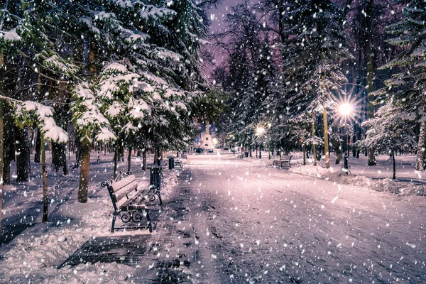 在冬日的夜晚 公园里降雪 圣诞装饰品 灯和铺满了雪的人行道 — 图库照片