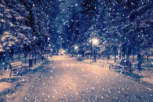 Nieve Parque Invierno Por Noche Con Decoraciones Navideñas Luces Pavimento — Foto de Stock