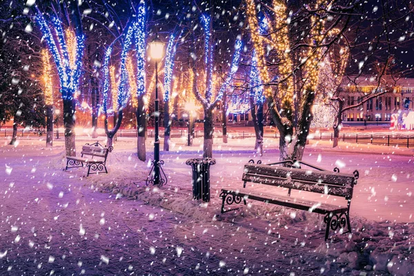 Chute Neige Dans Parc Hiver Nuit Avec Décorations Noël Lumières — Photo