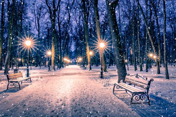 Schneefall Einem Nächtlichen Winterpark Mit Weihnachtsdekoration Lichtern Und Schneebedecktem Bürgersteig — Stockfoto