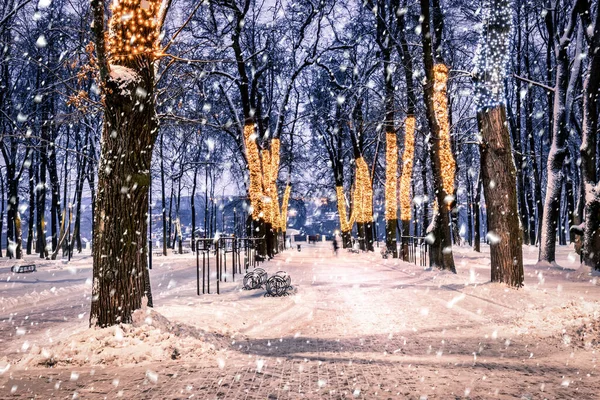 Snowfall Winter Park Night Christmas Decorations Lights Pavement Covered Snow — Stock Photo, Image