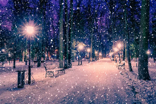 Geceleri Kış Parkında Kar Yağışı Noel Süsleri Işıklar Karla Kaplı — Stok fotoğraf