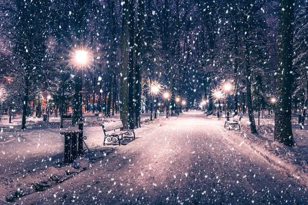 Śnieg Zimowym Parku Nocy Dekoracjami Świątecznymi Światłami Chodnikiem Pokrytym Śniegiem — Zdjęcie stockowe