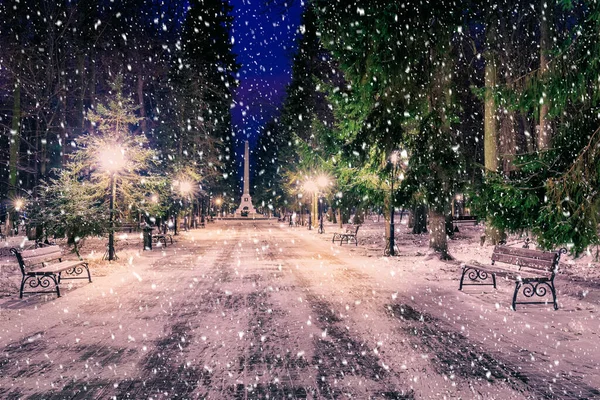 クリスマスの装飾 ライト 雪で覆われた舗装と夜の冬の公園で雪 — ストック写真