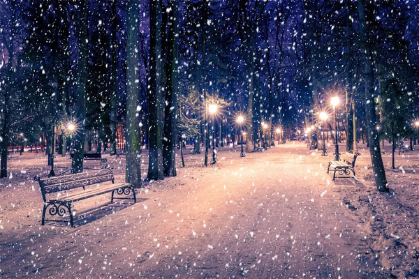 Floresta Neve Parque Inverno Noite Com Decorações Natal Luzes Pavimento — Fotografia de Stock