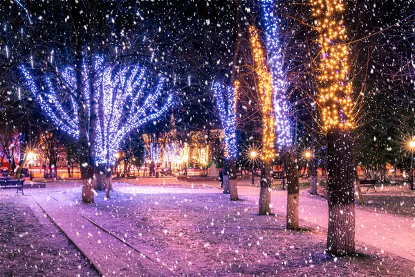 크리스마스 노면에 나무로 포장도로 공원에 — 스톡 사진